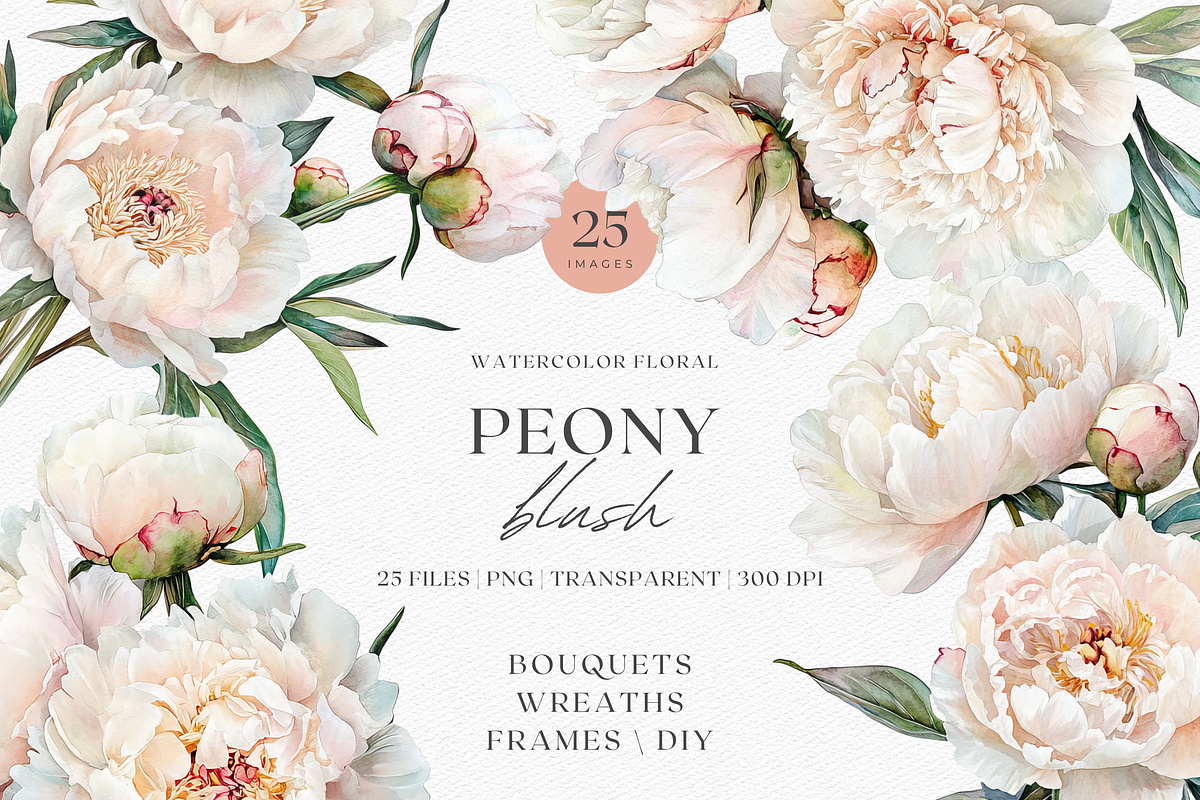 Peony Blush - Watercolor, a Decorative Illustration by ThaismotaCreativeCo (Photo 1 of 11)