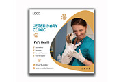 Veterinary Flyer Design Template, a Flyer Template by YUDesignStore (Thumbnail 1 of 6)