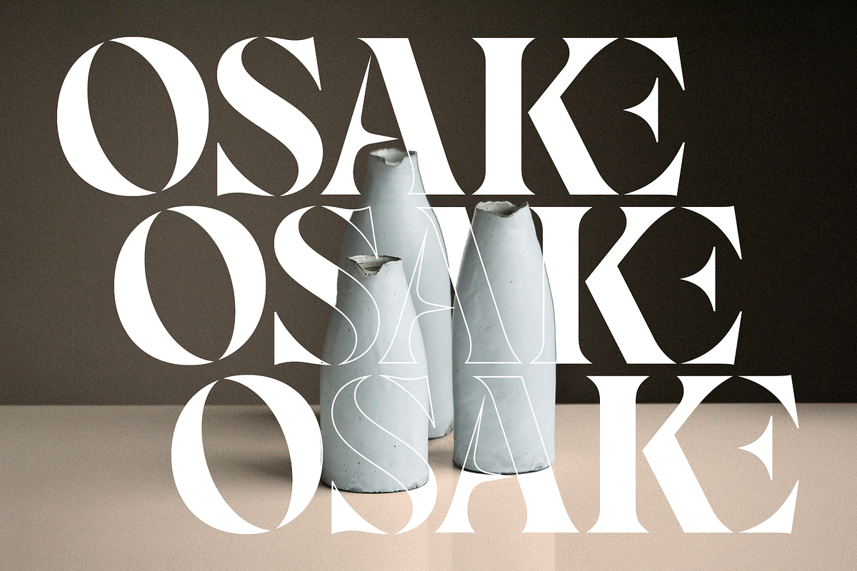 Elagra - Elegant Stencil Serif Font, a Serif Font by Sign Studio (Photo 4 of 15)