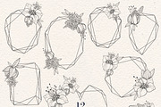 FINE LINE Floral Graphic Collection, a Decorative Illustration by Olga Begak Art & Design (Thumbnail 11 of 11)