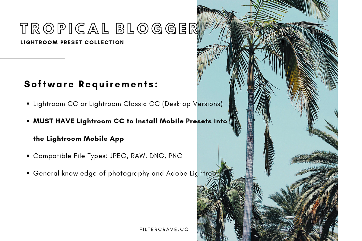 Tropical Lightroom Presets Instagram, an Action Add-On by Filtercrave (Photo 5 of 9)