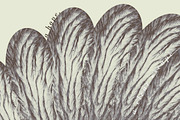 Ethereal suggestions | textures, a Texture Graphic by Shirakawa Maya (Thumbnail 6 of 6)