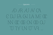 Nevoa Medium, a Script Font by OceaneM (Thumbnail 4 of 7)
