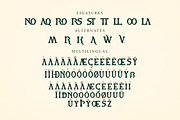 Vestovia Display Serif Font, a Sans Serif Font by Storytype Studio (Thumbnail 14 of 15)