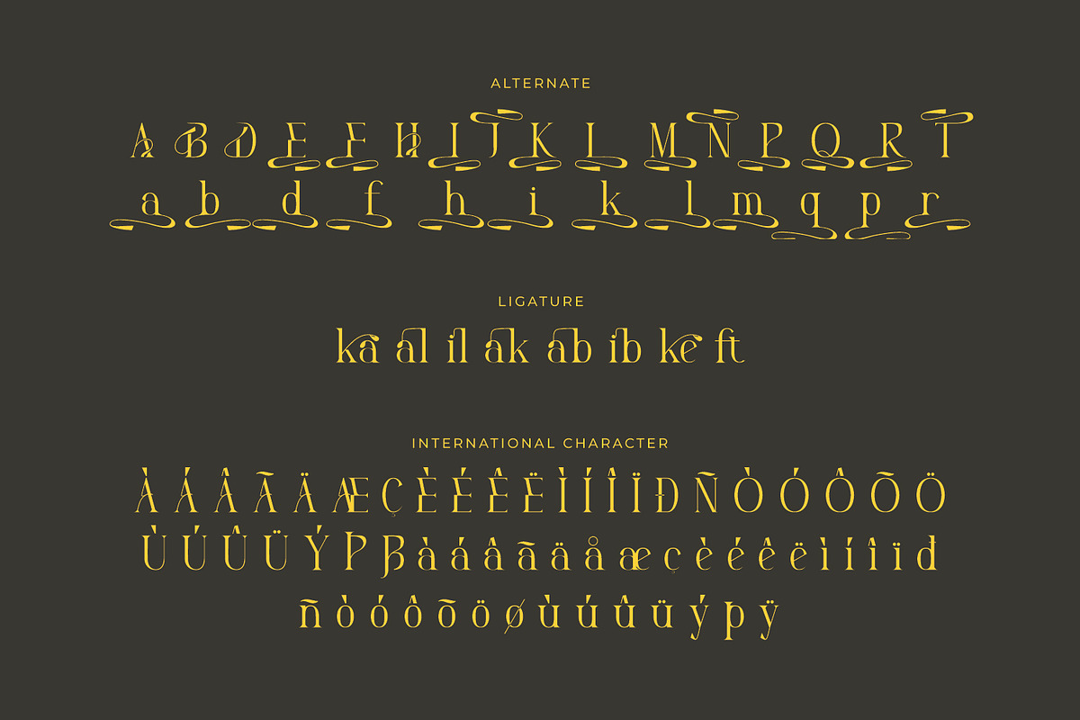 Arkalune - Serif Typeface Font, a Serif Font by Rishsketch (Photo 14 of 15)