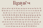 Mother Serif Typeface - 5 weights, a Serif Font by VP Fonts (Thumbnail 9 of 13)