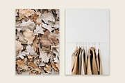 Fall Collection 1, a Beauty & Fashion Photo by Floral Deco (Thumbnail 2 of 8)