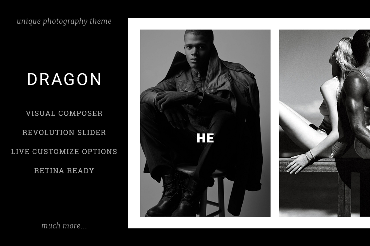 Dragon: Unique Photography Theme, a WordPress Template by ThemeTon (Photo 1 of 2)
