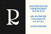Corbyn Serif, a Serif Font by Emyself Design (Thumbnail 5 of 12)