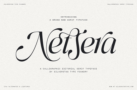 Netsera Calligraphic Serif Typeface, a Serif Font by SilverStag Type Foundry