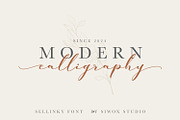 Sellinky - modern calligraphy script, a Script Font by Siwox Studios (Thumbnail 5 of 8)