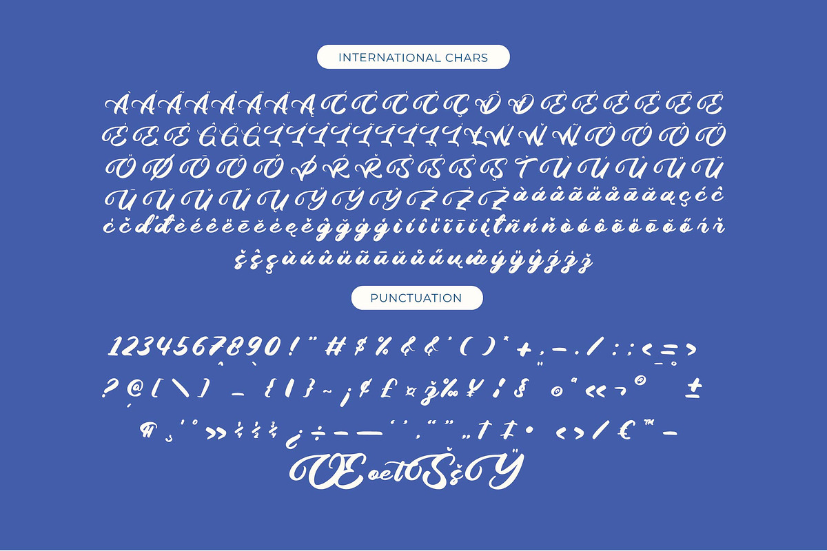 Palmeria Rooted Bold Calligraphy, a Script Font by Letterena Studios Script (Photo 14 of 15)