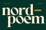 OV Treasure Retro Serif Font Family, a Serif Font by OV Type (Thumbnail 18 of 21)