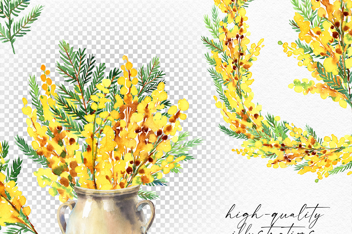 Yellow Mimosa Sunshine, an Illustration by Olga Koelsch (Photo 5 of 7)