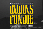 Ploker || Modern Retro Condensed Ser, a Serif Font by Ermedia Studio (Thumbnail 7 of 10)