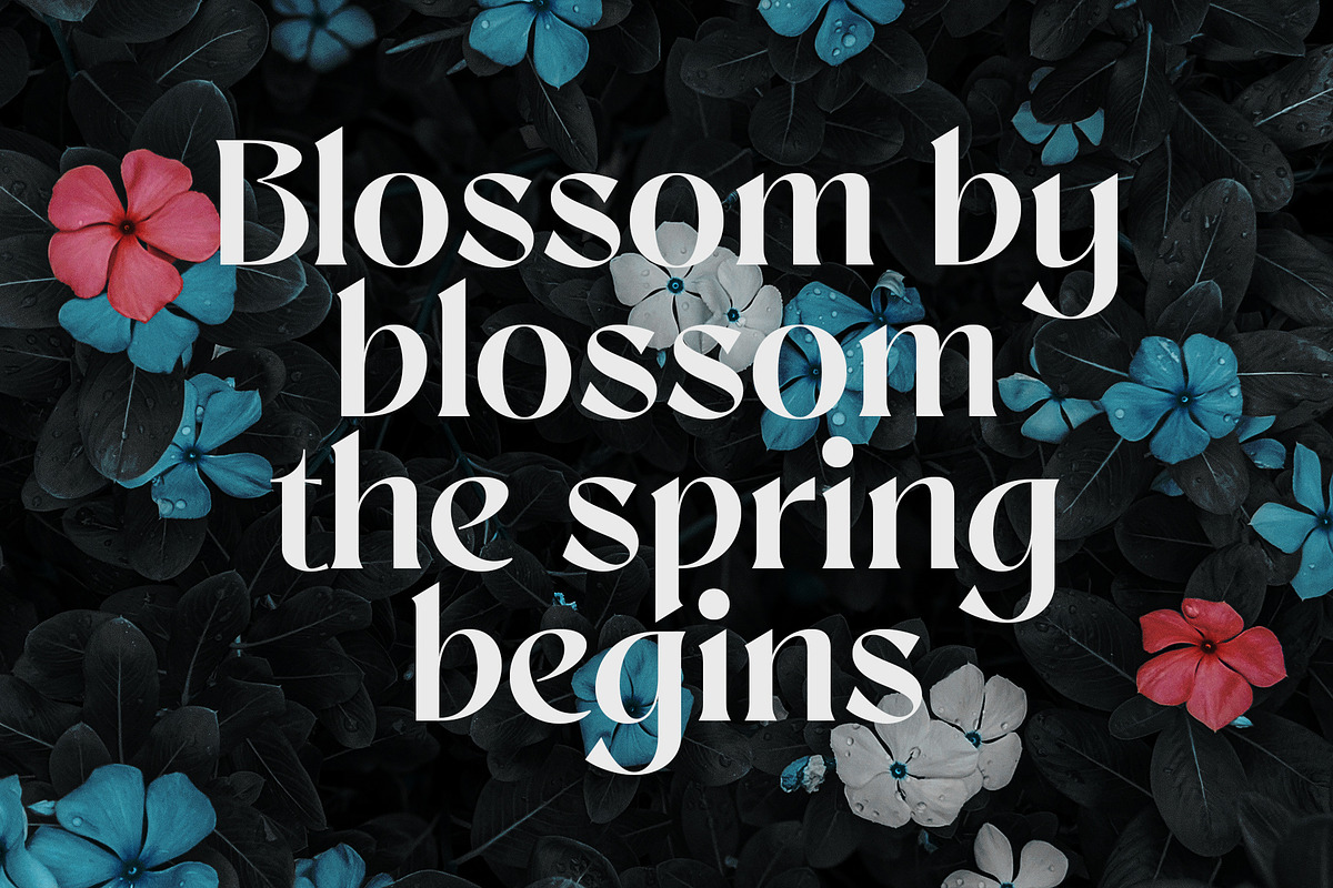Sangu, a Serif Font by nurrontype (Photo 6 of 12)