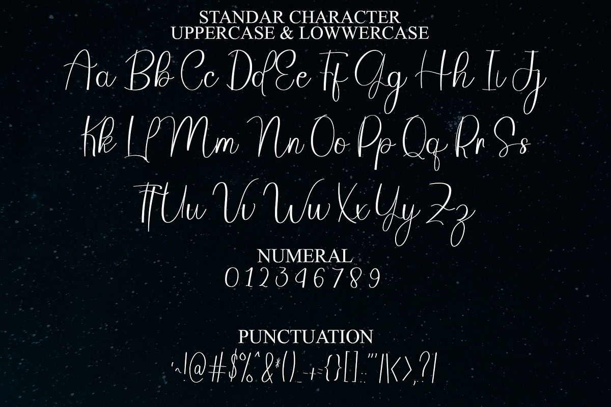 Everythink Signature, a Handwritten Font by FreshTypeINK (Photo 4 of 8)