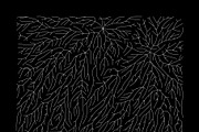 Growth - 10 Backgrounds, a Texture Graphic by GarryKillian (Thumbnail 8 of 11)