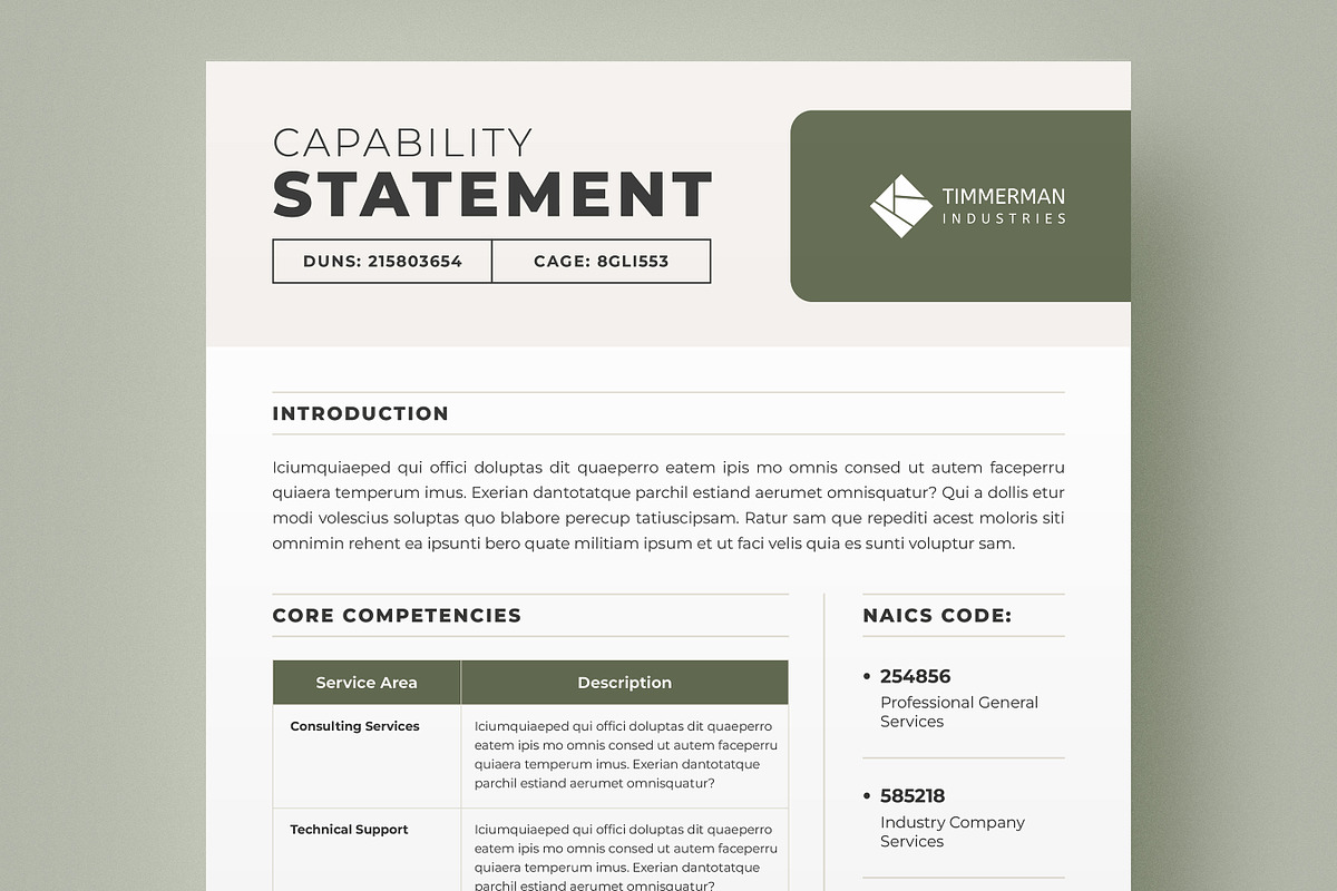 Capability Statement Template, a Brochure Template by Niofix (Photo 1 of 6)