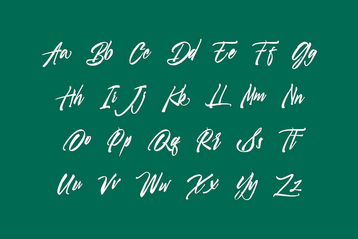 Rio de Janeiro Script Brush Font, a Script Font by WhymoreArt (Photo 9 of 10)