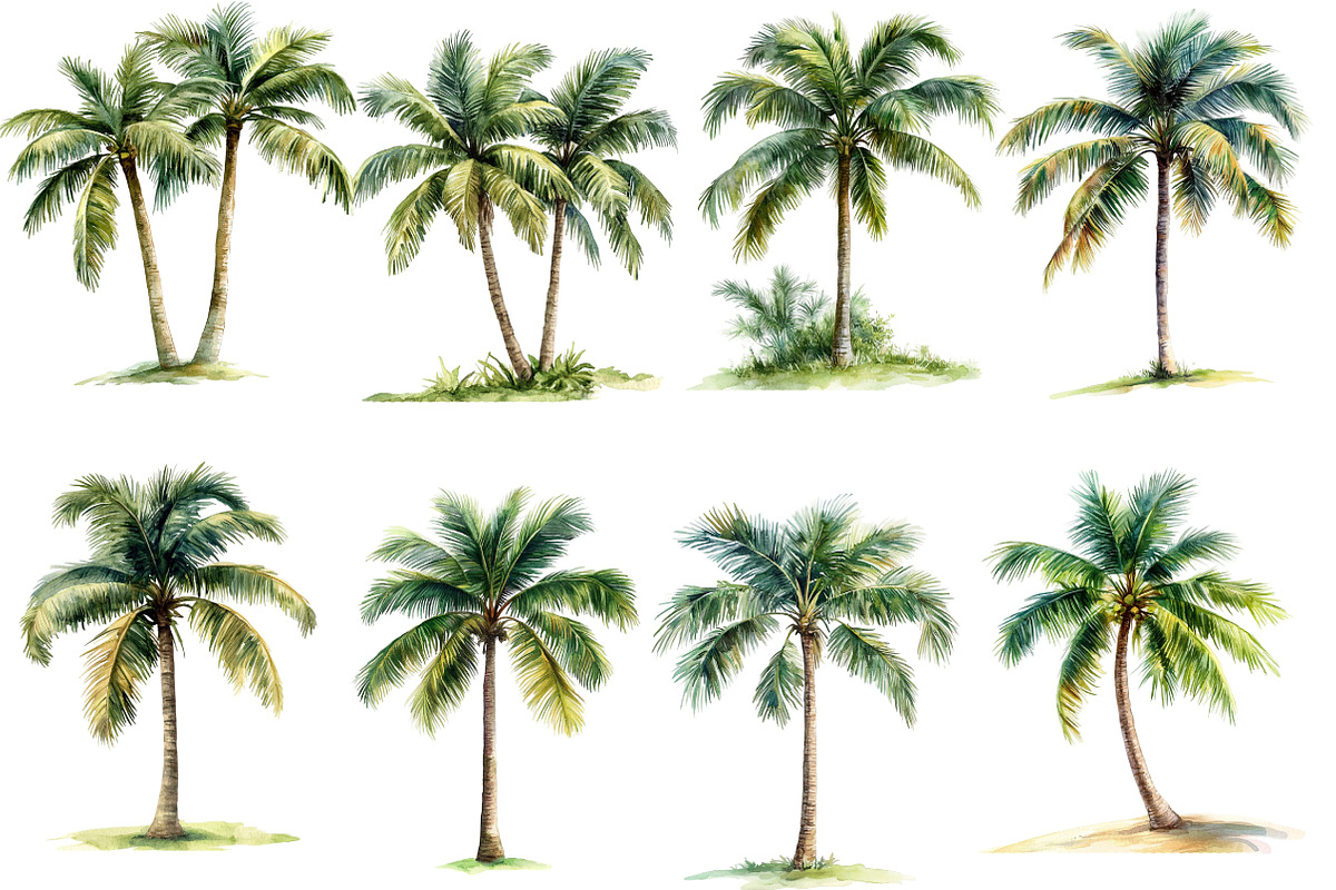 Watercolor Tropical Palm Trees, an Illustration by Designworld (Photo 4 of 6)