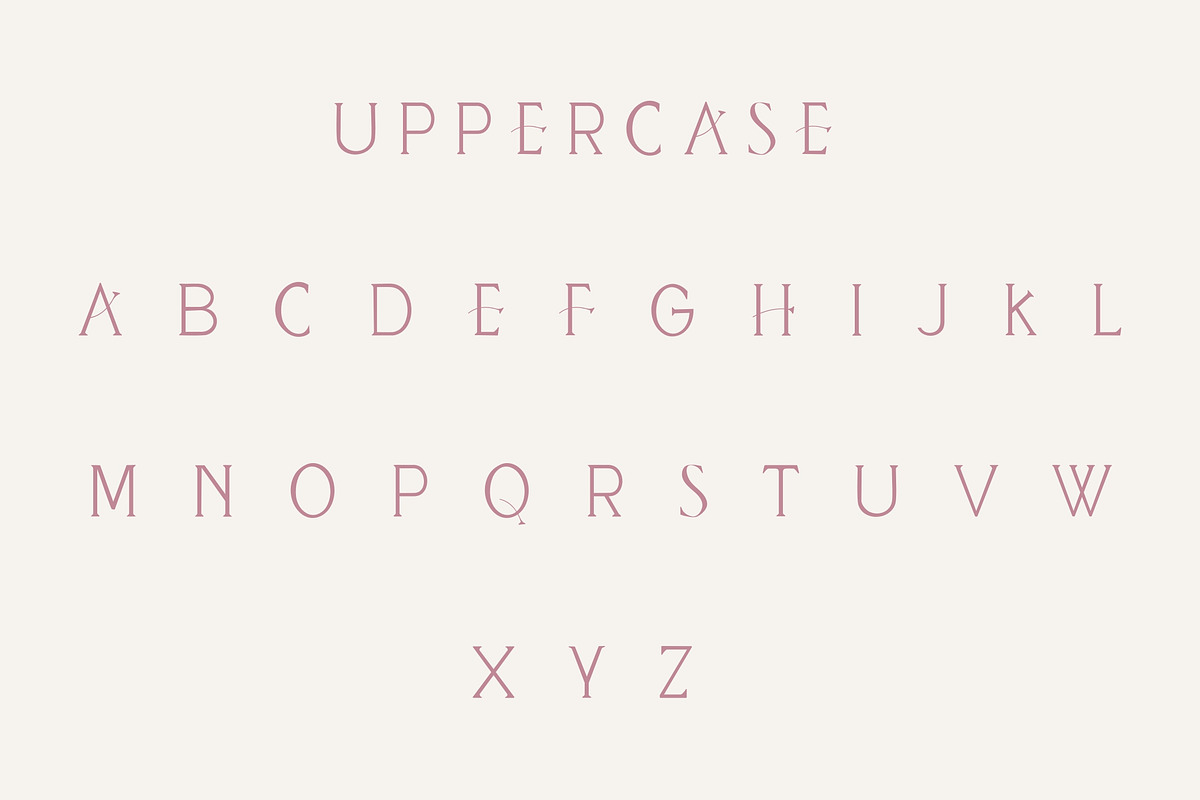 Daisy - Modern handwritten serif, a Serif Font by Sk designs (Photo 7 of 8)