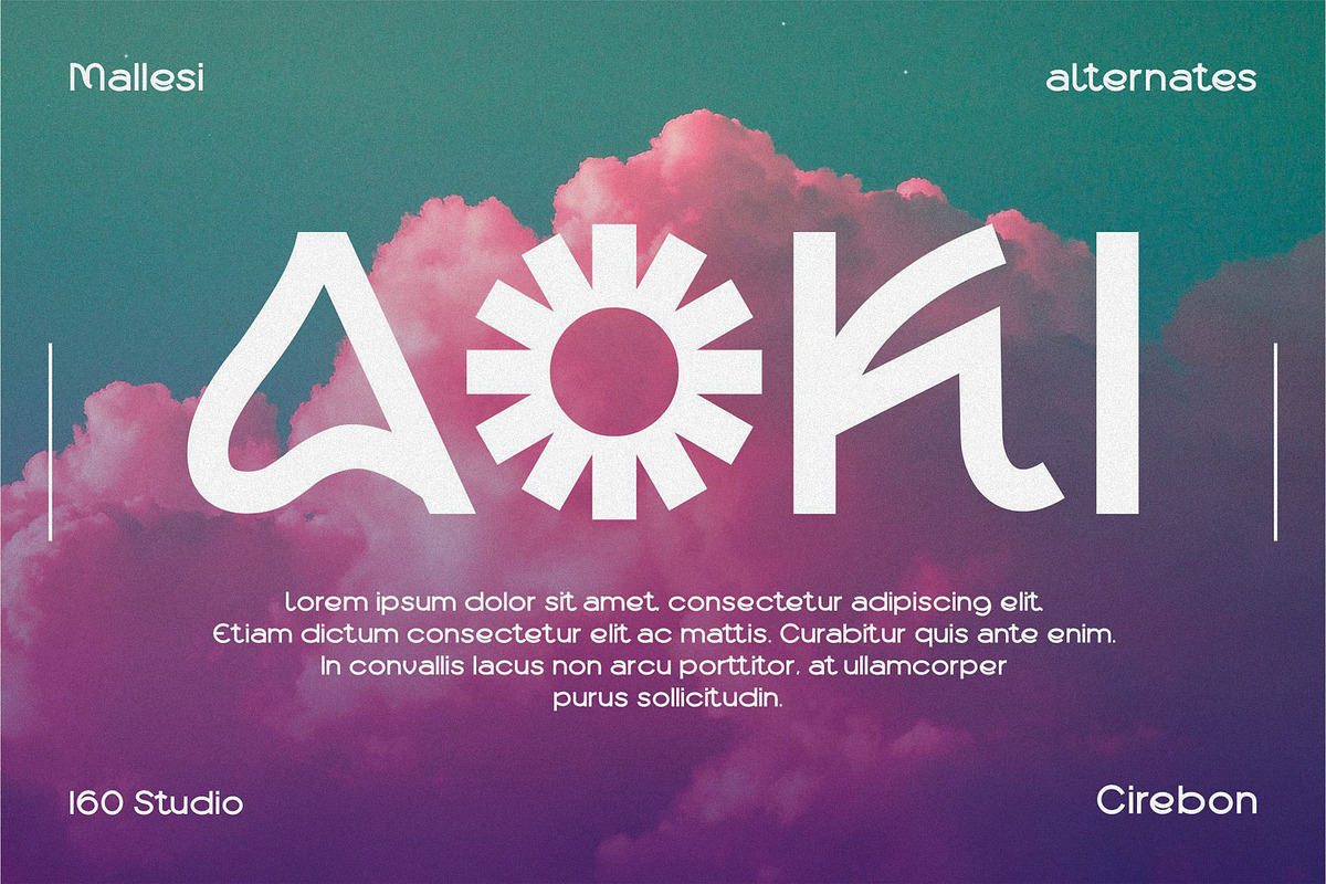 Mallesi Modern Sans, a Sans Serif Font by 160 Studio (Photo 5 of 13)