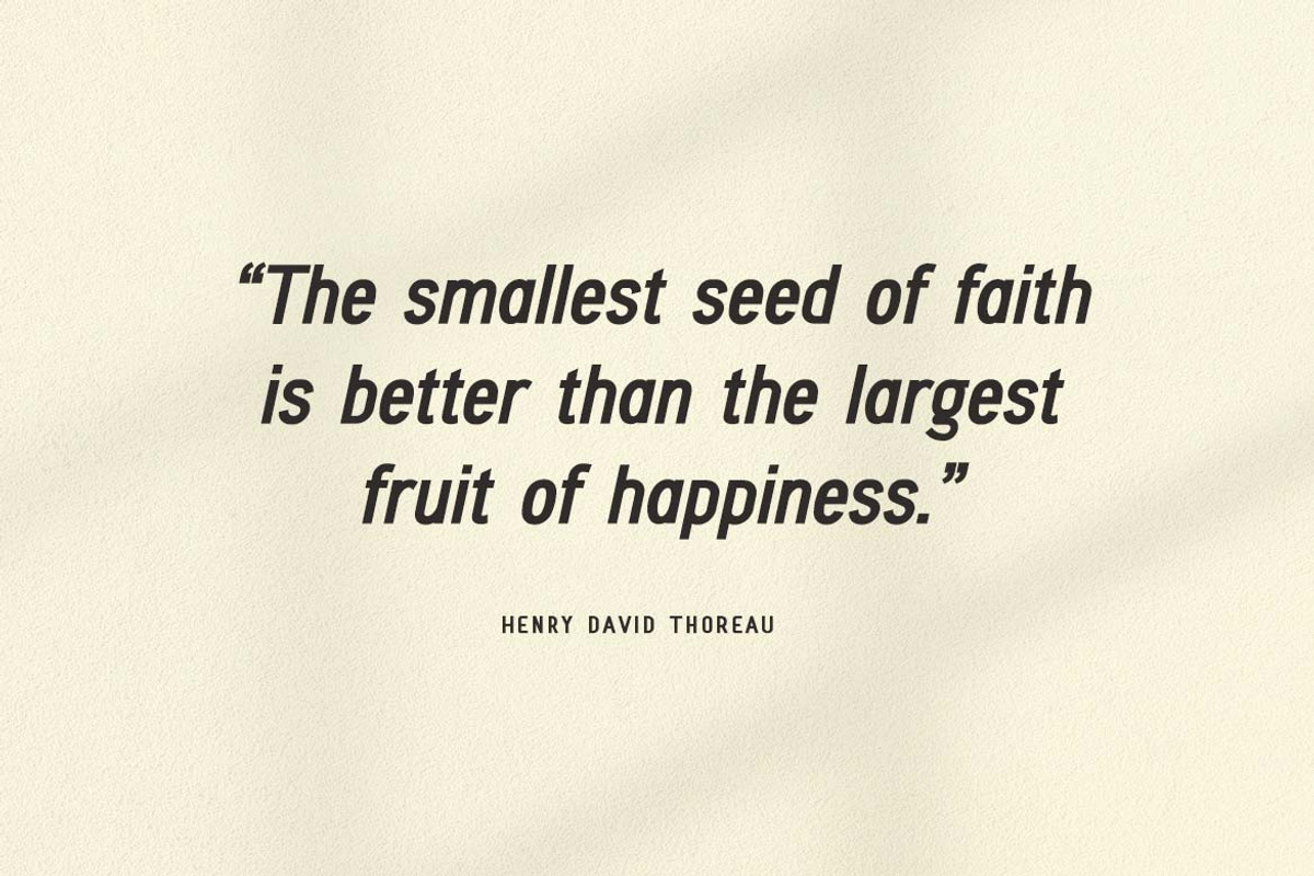 Tordoeska Sans Serif Font, a Sans Serif Font by UICreative (Photo 3 of 13)