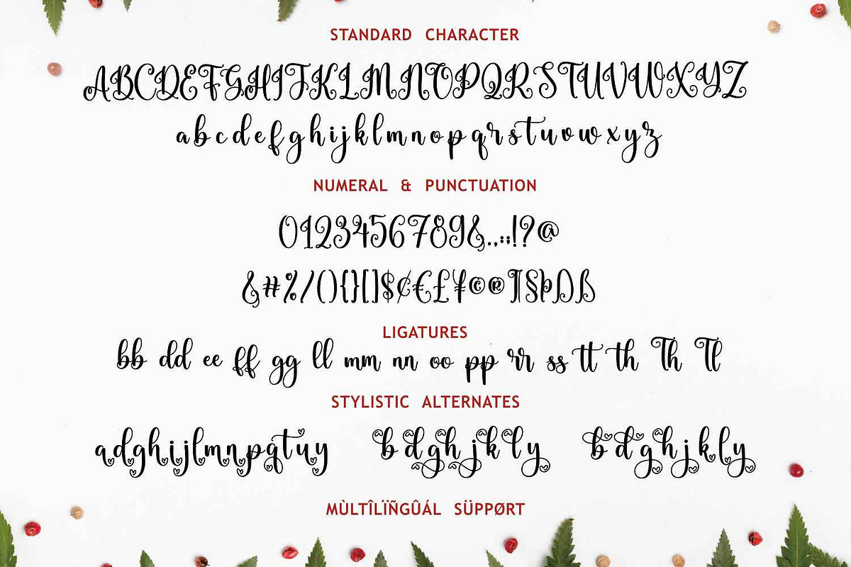 Christmas Holiday, a Script Font by Mozatype (Photo 7 of 9)