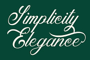 Anatomical - Elegant Script Font, a Script Font by Arendxstudio (Thumbnail 4 of 8)