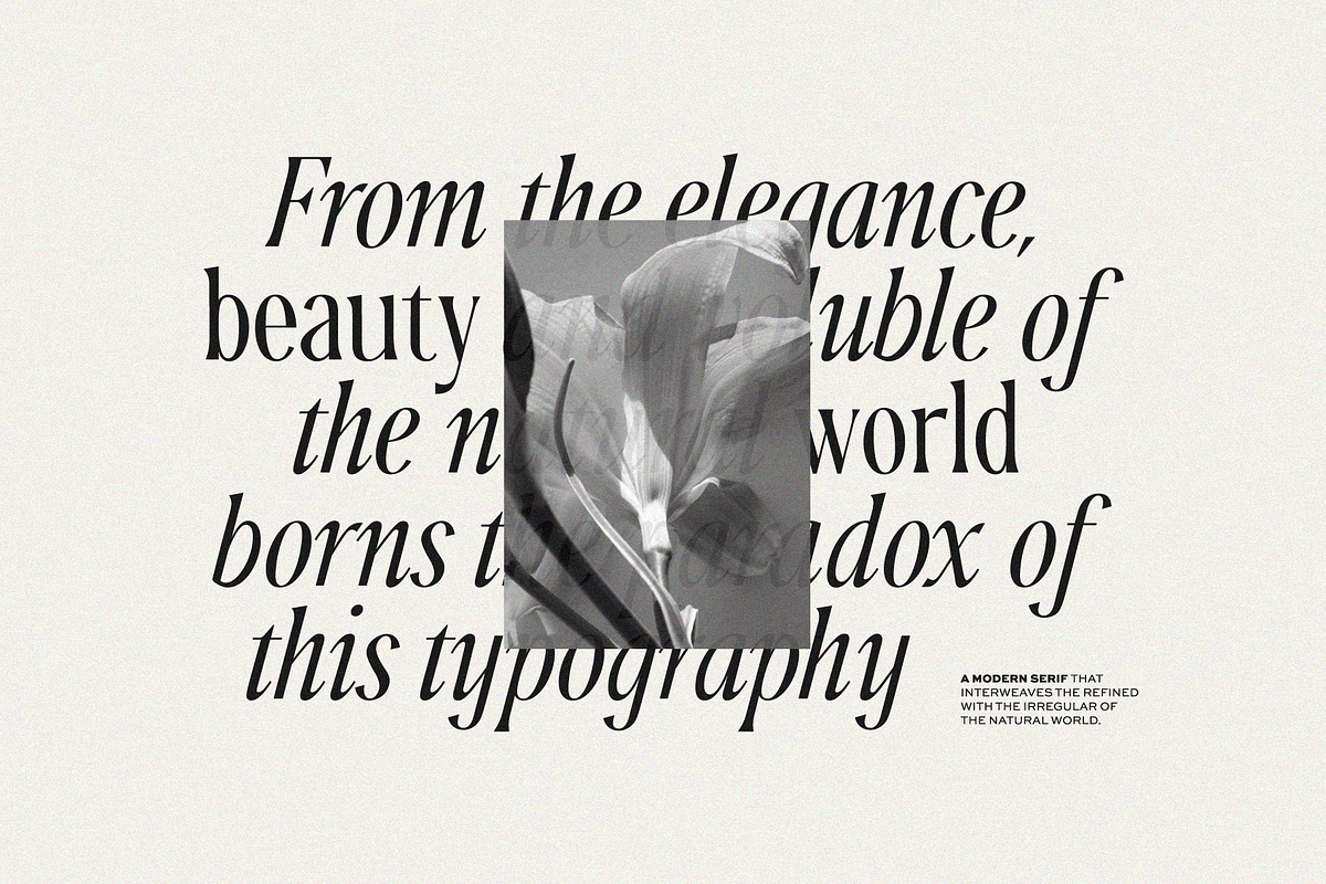 Ophelia - Modern Serif Font, a Serif Font by The Peach Shop (Photo 2 of 16)