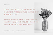 Ranse Modern Ligature Serif Font, a Serif Font by Dylla_studio (Thumbnail 12 of 12)