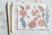 Romantic Floral Bundle, an Illustration by AlenaVlasko stock Market (Thumbnail 3 of 6)