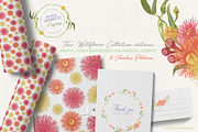Australian Wild Flowers Collection, an Illustration by Sketchbook Designs (Thumbnail 9 of 10)