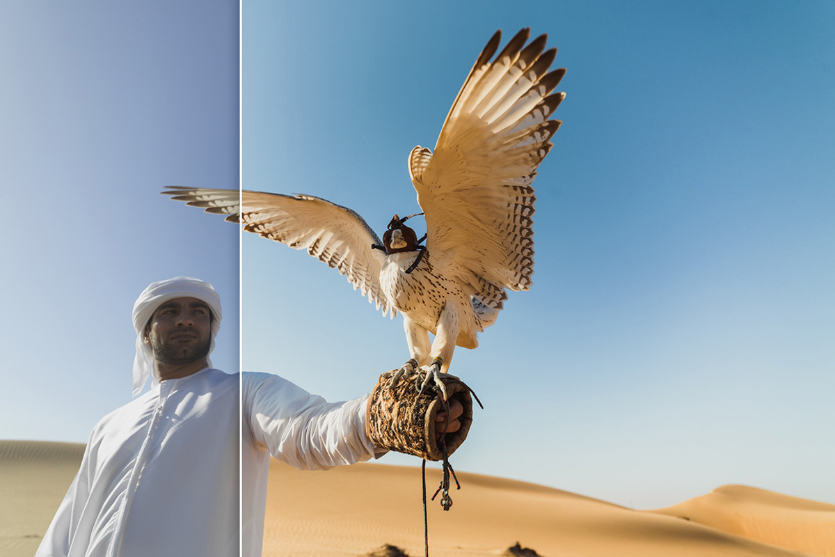 LR Presets Bundle (Desktop & Mobile), an Action Add-On by PhotoMarket (Photo 25 of 36)