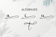 Bestia | Script Font, a Handwritten Font by Scratchones (Thumbnail 8 of 9)