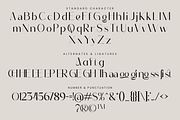 Amnegia - Beauty Elegant Sans Serif, a Sans Serif Font by PuriCreative (Thumbnail 4 of 10)