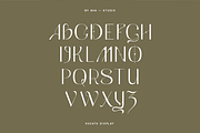 Hecate Sans Display, a Sans Serif Font by BY AVA — studio (Thumbnail 4 of 8)