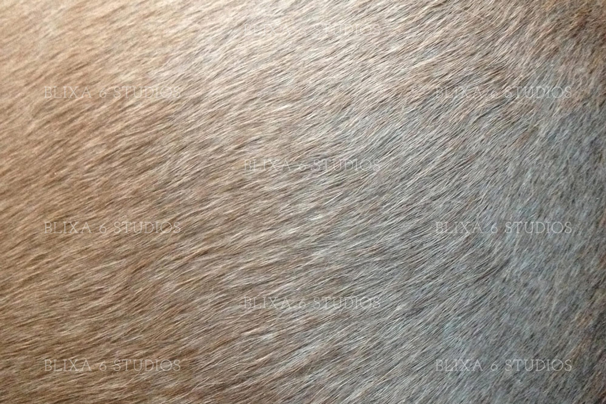 Natural Fur Digital Paper Collection preview 4