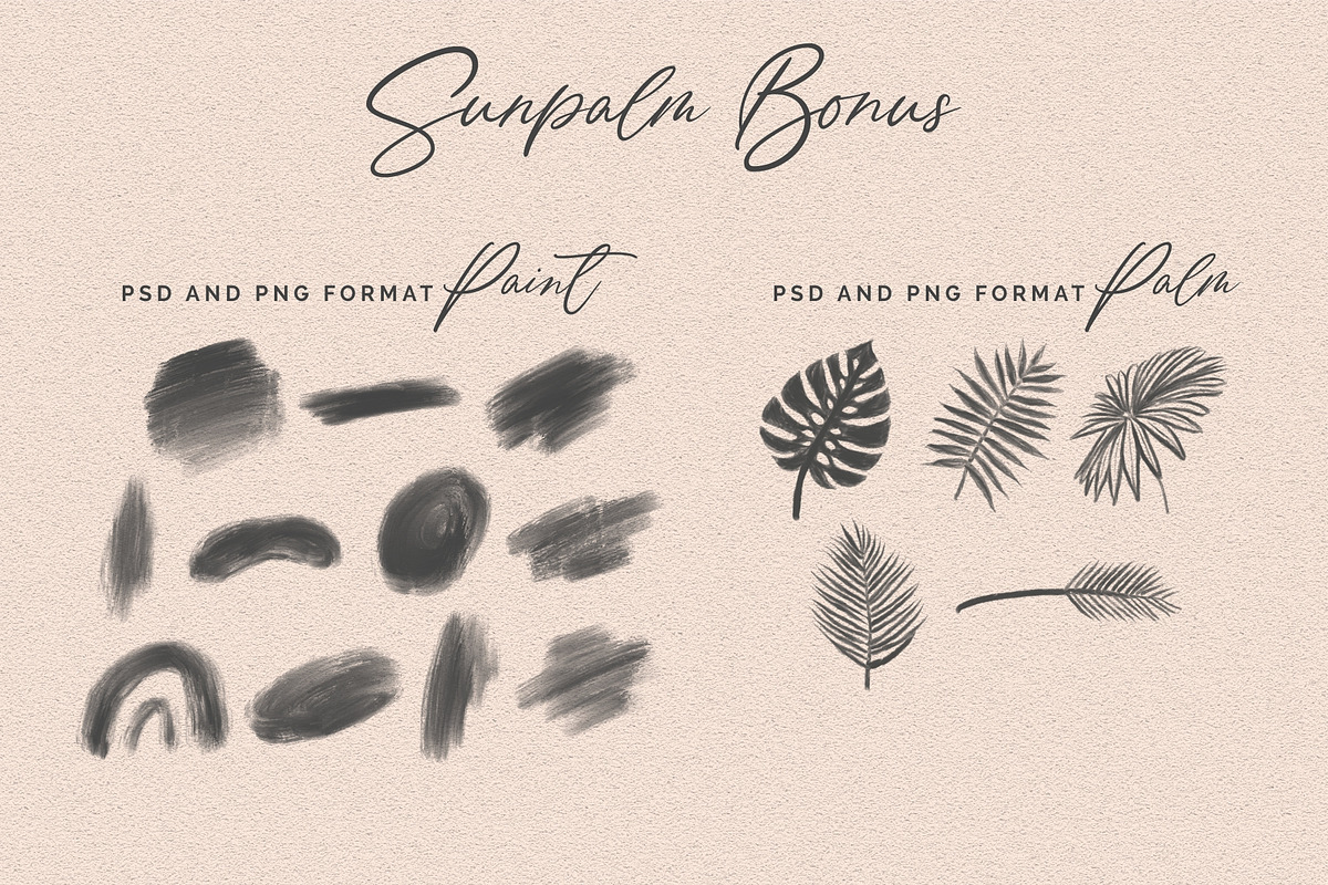 Sunpalm Addict | Modern Calligraphy, a Script Font by YdhraStudio (Photo 21 of 22)