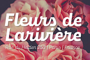 Maestri, a Font by Fenotype (Thumbnail 4 of 7)