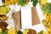 Phone Mockup on Postcard in Autumn, an iPhone Mockup by VetalStock (Thumbnail 3 of 3)
