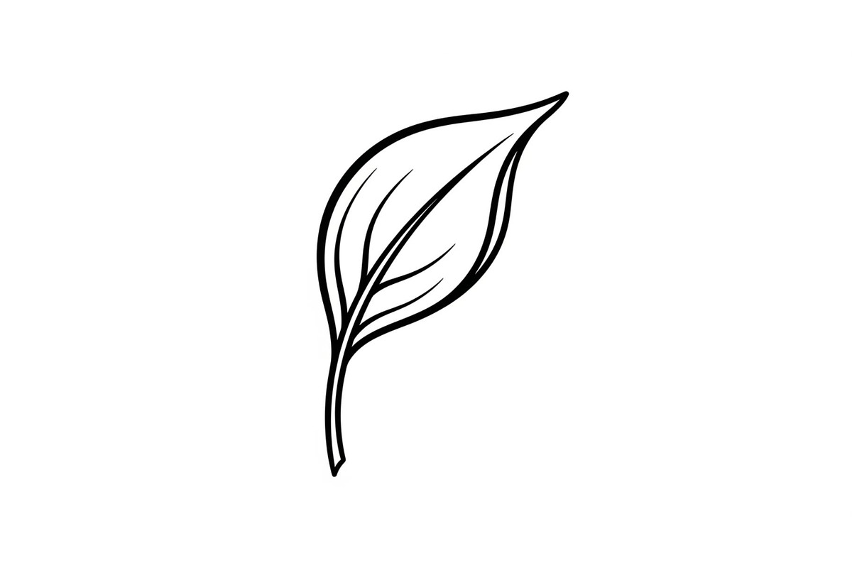Hand Drawn Leaf Line Art Bundle, an Illustration by hafijul (Photo 15 of 51)