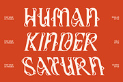 Trouble – Melted Serif Font, a Serif Font by Craft Supply Co. (Thumbnail 2 of 8)