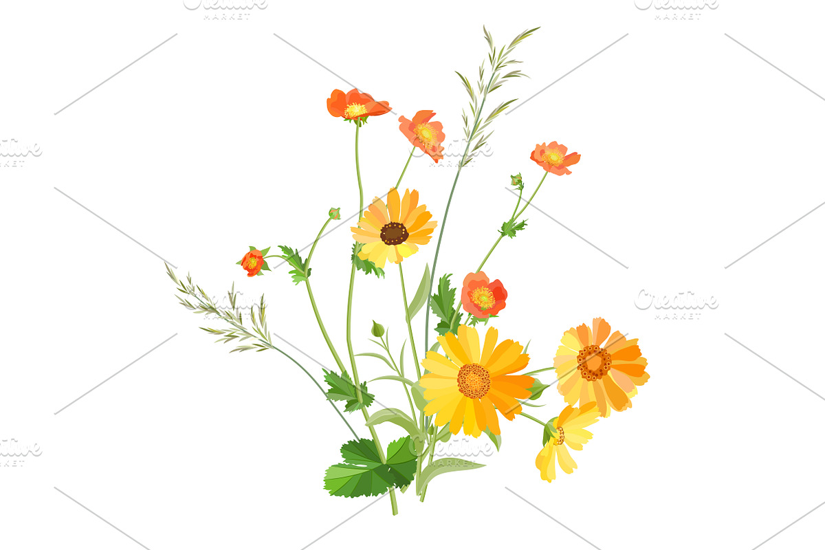 Vector object brushes. Calendula, a Brush Add-On by Peolla (Photo 15 of 16)