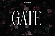 Gate - Modern Serif Font, a Serif Font by Luna Shop (Thumbnail 1 of 6)