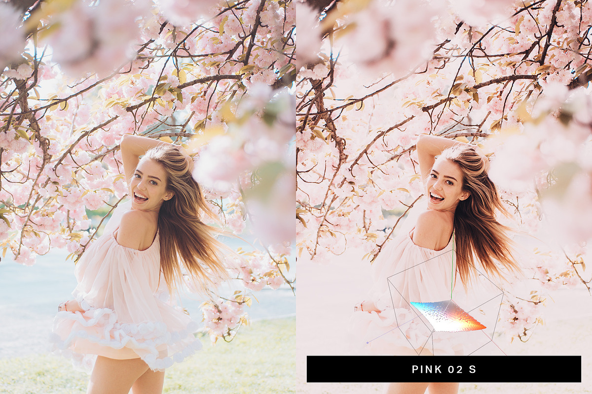 50 Sakura Lightroom Presets and LUTs, a Preset Add-On by SparkleStock (Photo 5 of 10)