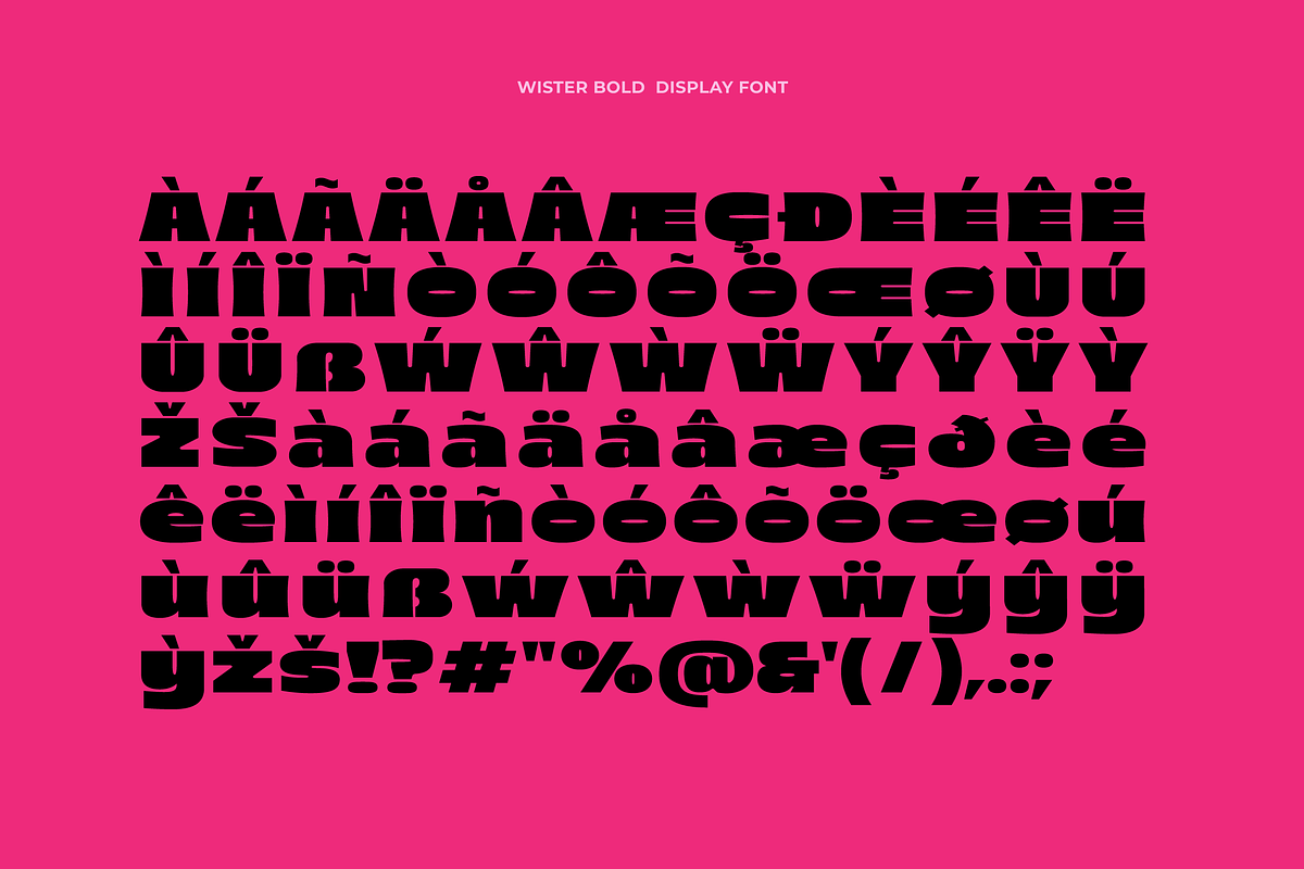 Wister - Bold Font, a Sans Serif Font by limitype (Photo 11 of 12)