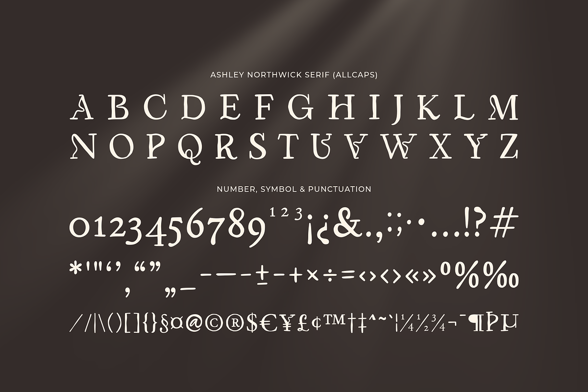 Ashley Northwick - A Modern Font Duo, a Serif Font by Ainun Jinan (Photo 12 of 12)