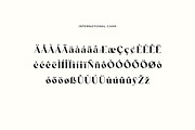 Funtonalie Elegant Serif Font, a Serif Font by UICreative (Thumbnail 10 of 13)